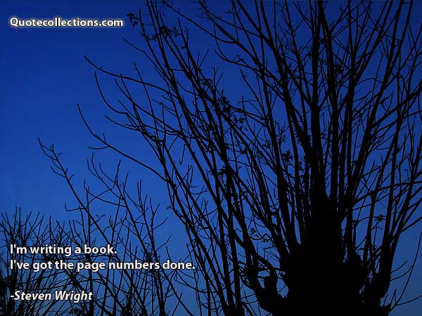 Steven Wright Quotes2